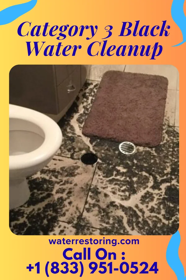 Category 3 Black Water Cleanup in Lilydale, MN