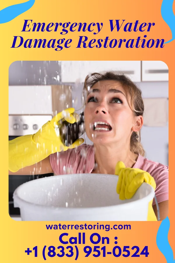 Emergency Water Damage Restoration in Lilydale, MN
